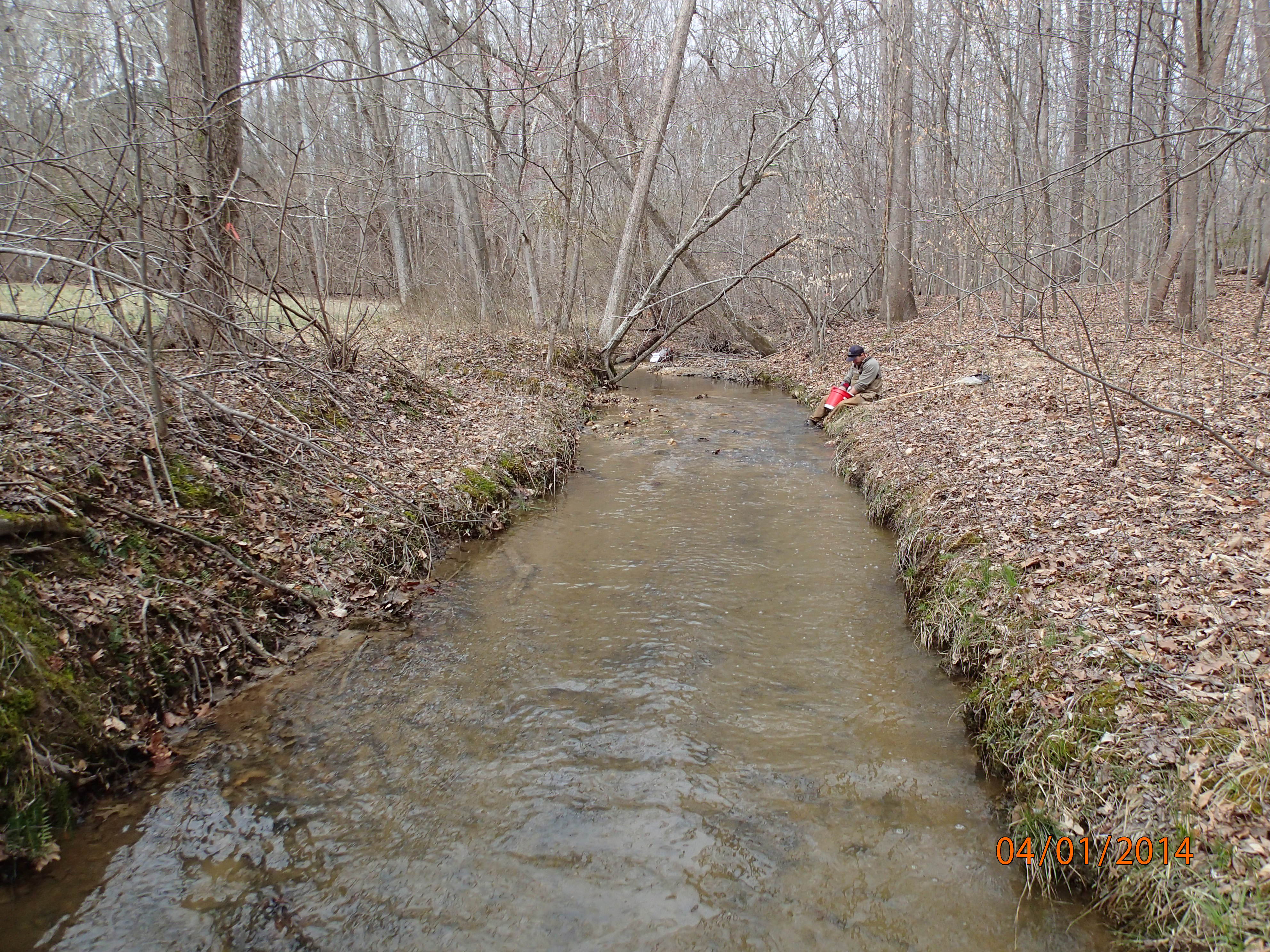 Field photo showing stream conditions at site NANJ-104-R-2014-MidpointUpstream