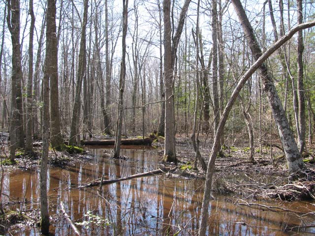 Field photo showing stream conditions at site NANJ-107-H-2012-1