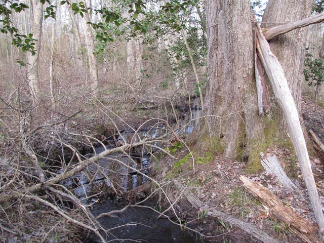 Field photo showing stream conditions at site NANJ-109-H-2012-1