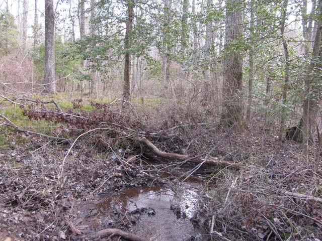 Field photo showing stream conditions at site NANJ-109-H-2012-2
