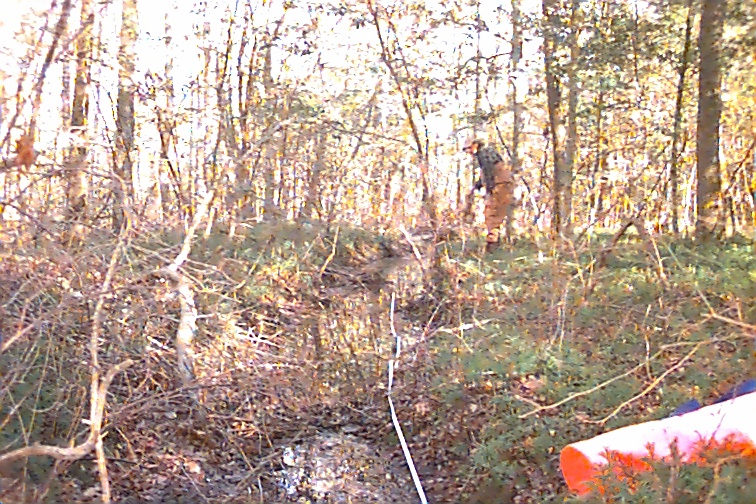 Field photo showing stream conditions at site NANJ-109-R-2000-01