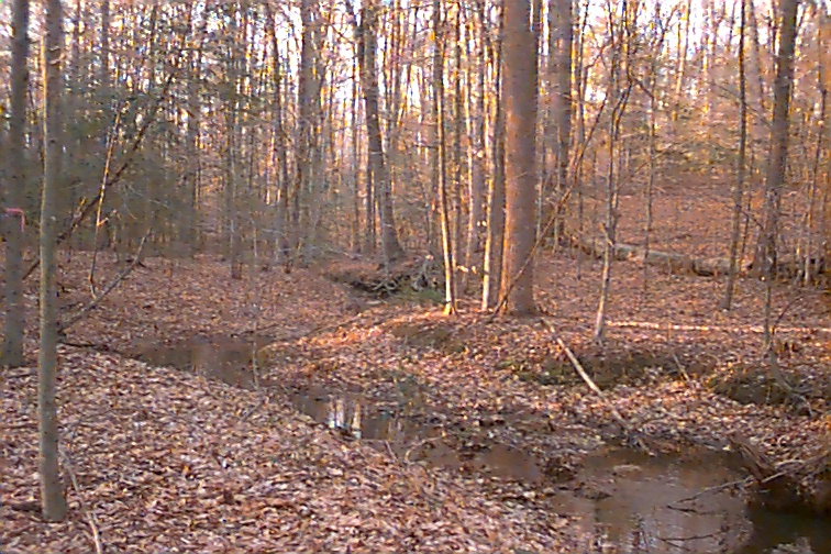 Field photo showing stream conditions at site NANJ-111-R-2000-01