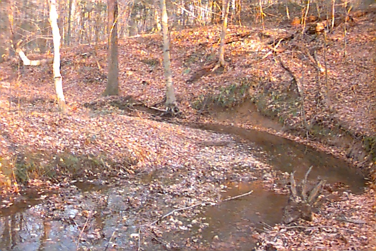 Field photo showing stream conditions at site NANJ-111-R-2000-02