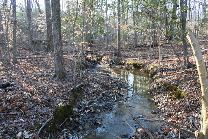 Field photo showing stream conditions at site NANJ-111-R-2008-2