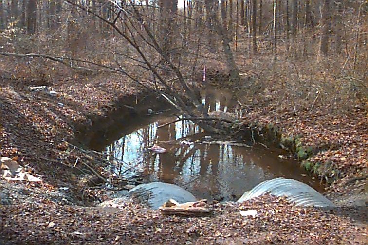 Field photo showing stream conditions at site NANJ-112-R-2000-01