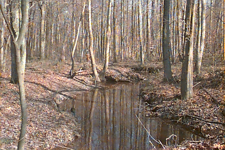Field photo showing stream conditions at site NANJ-112-R-2000-02