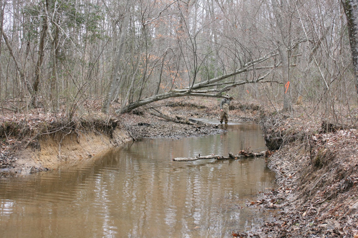 Field photo showing stream conditions at site NANJ-115-A-2011-1