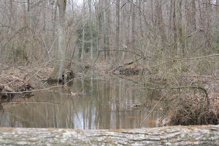 Field photo showing stream conditions at site NANJ-115-A-2011-2