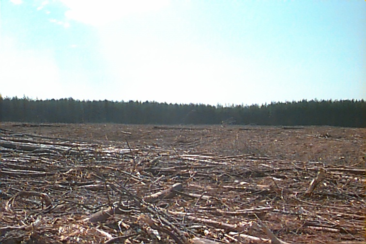 Field photo showing stream conditions at site NANJ-115-R-2000-01
