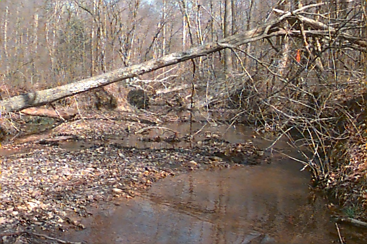 Field photo showing stream conditions at site NANJ-115-R-2000-02