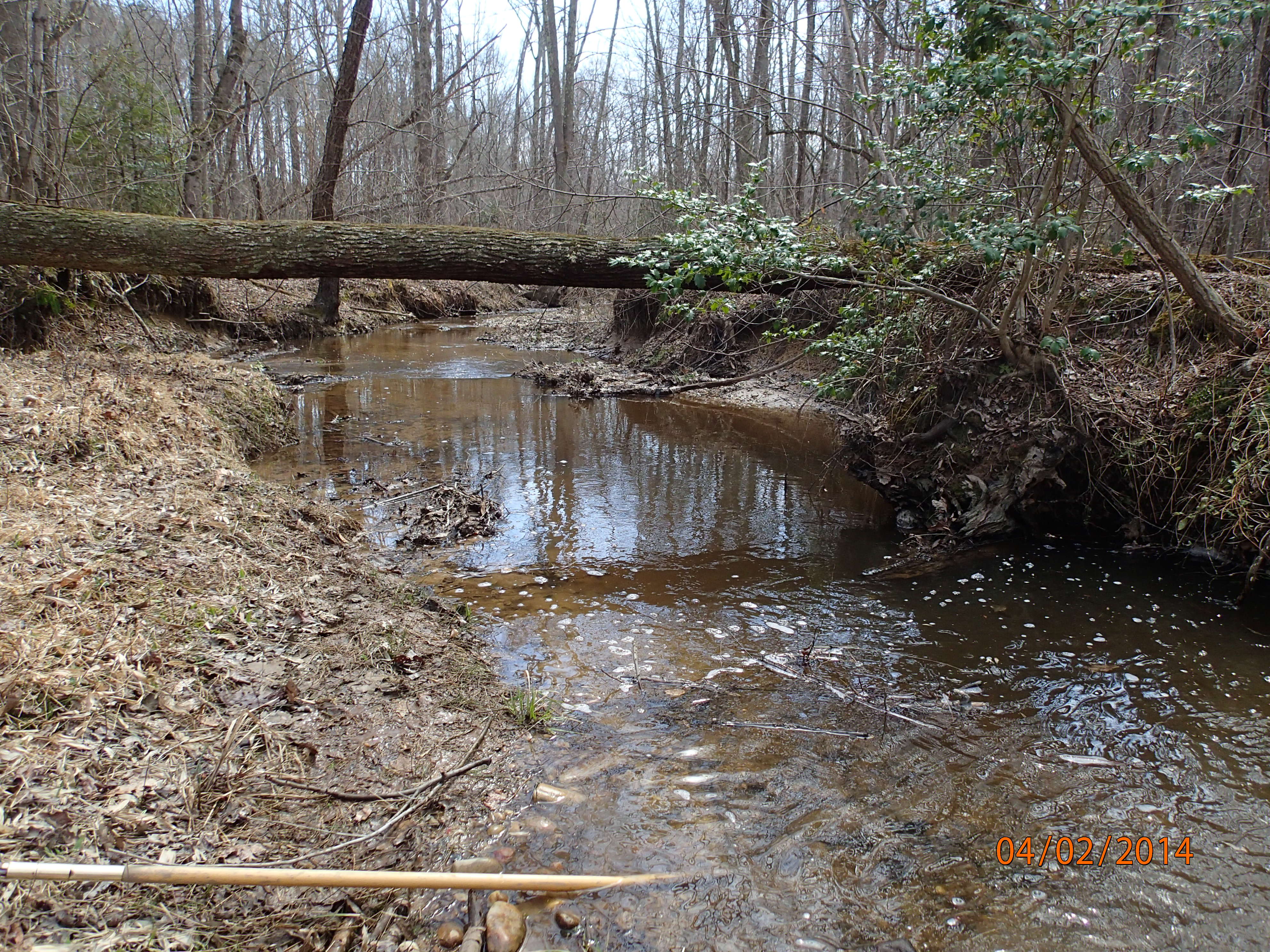 Field photo showing stream conditions at site NANJ-115-R-2014-MidpointDownstream