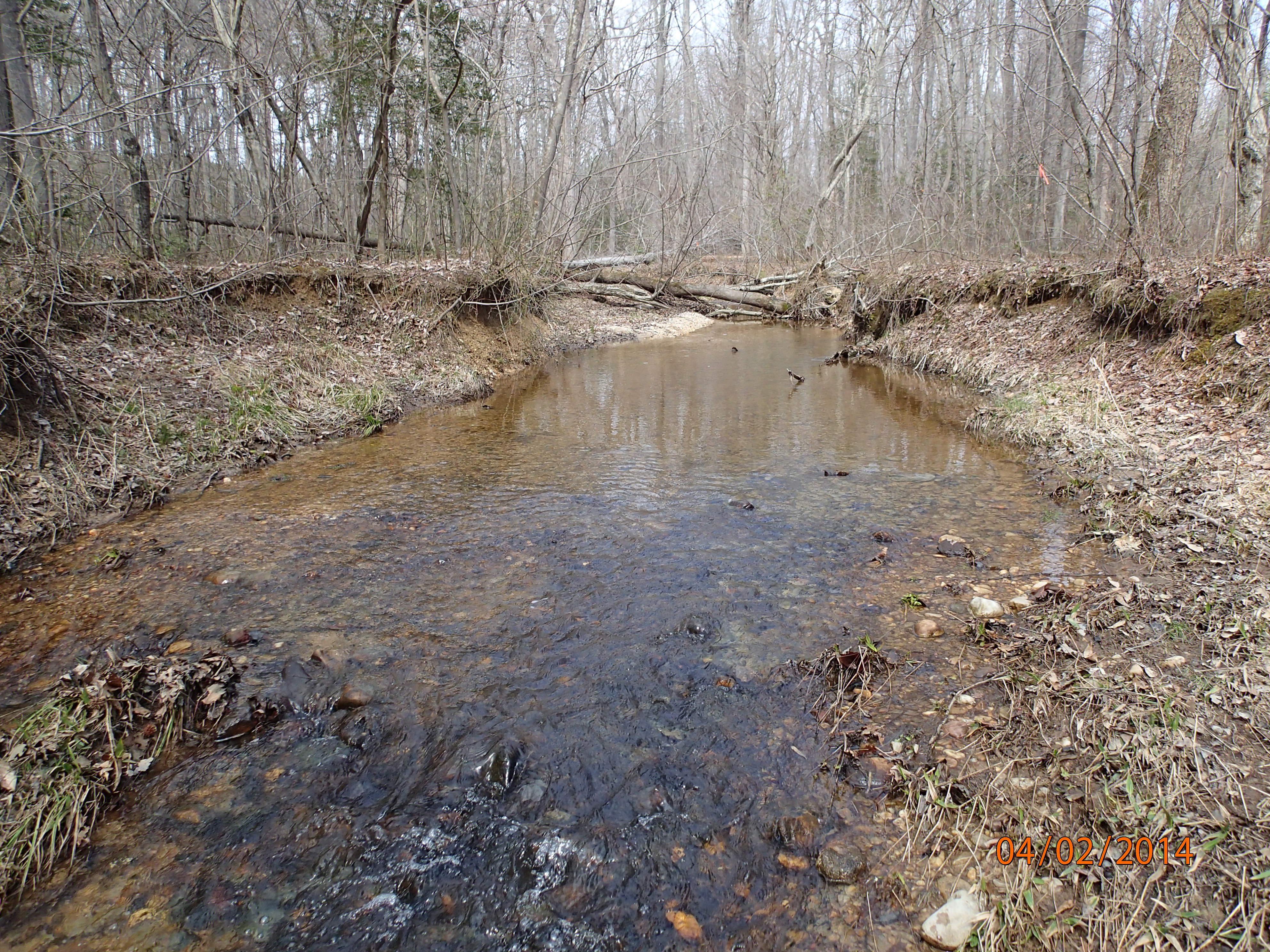 Field photo showing stream conditions at site NANJ-115-R-2014-MidpointUpstream