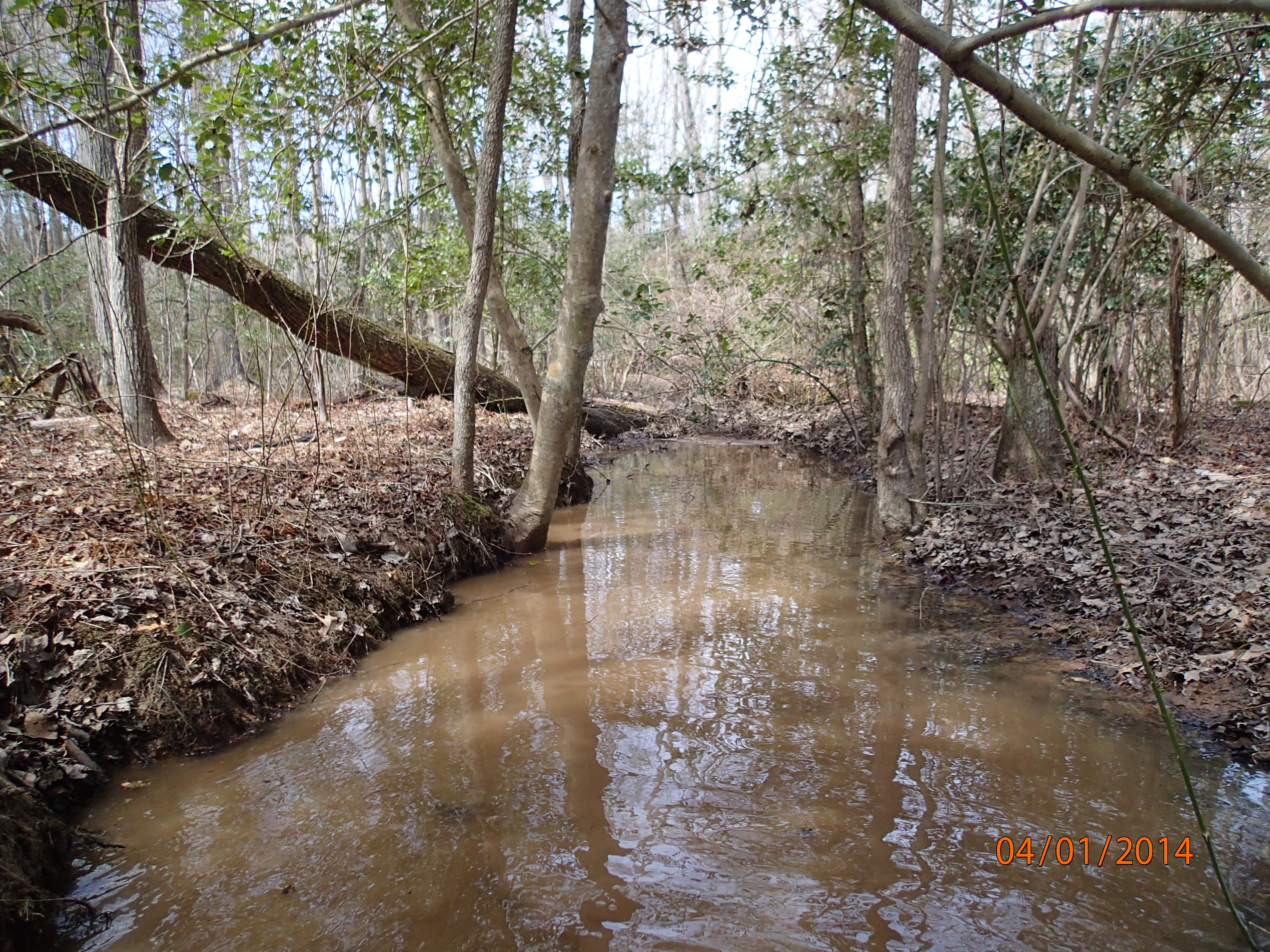 Field photo showing stream conditions at site NANJ-117-R-2014-MidpointDownstream