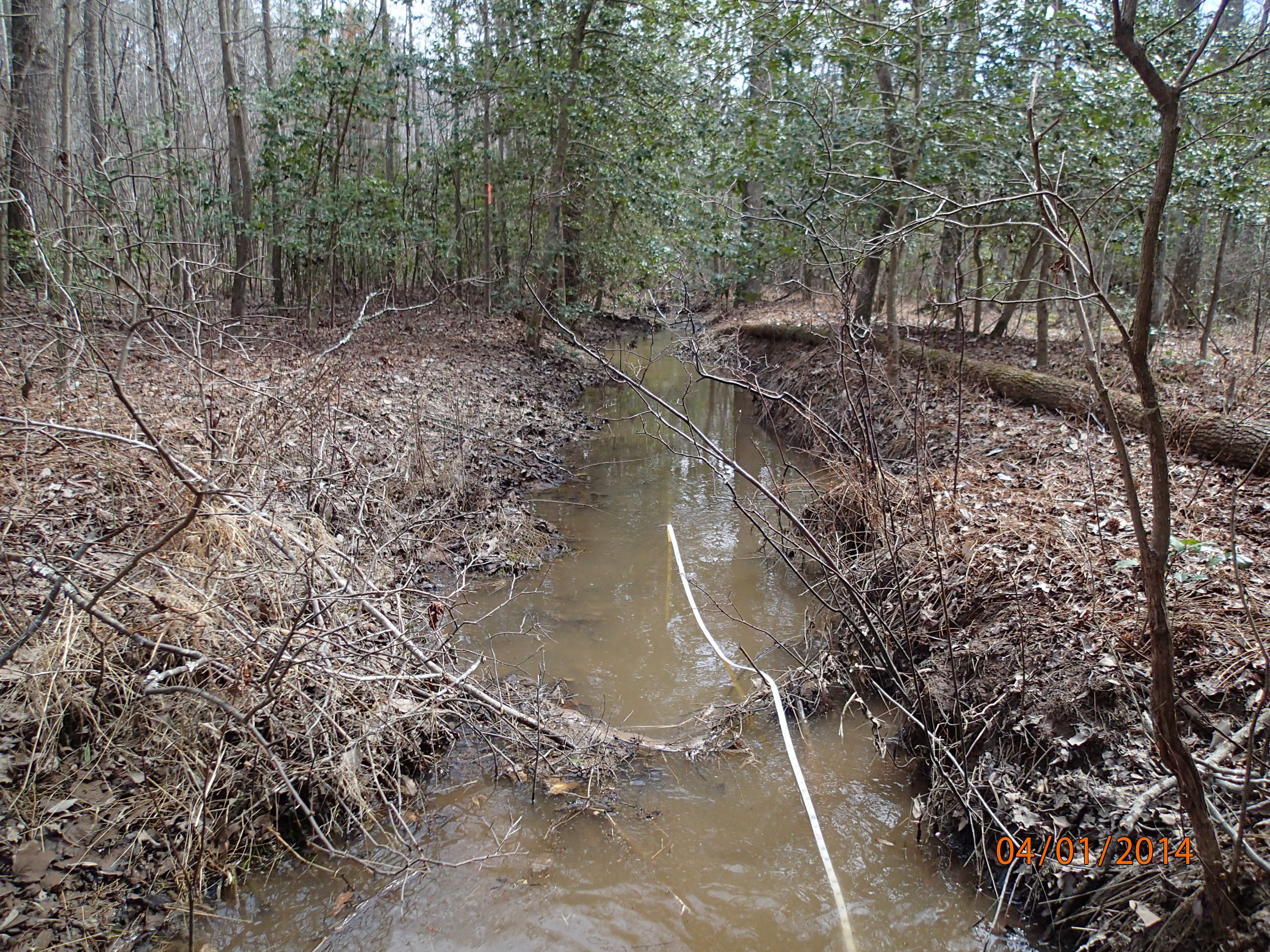 Field photo showing stream conditions at site NANJ-117-R-2014-MidpointUpstream