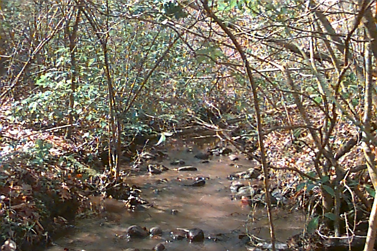 Field photo showing stream conditions at site NANJ-119-R-2000-01