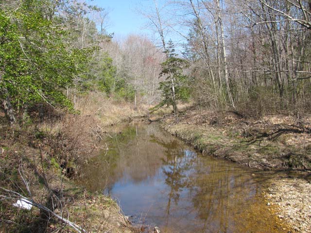Field photo showing stream conditions at site NANJ-201-H-2012-1