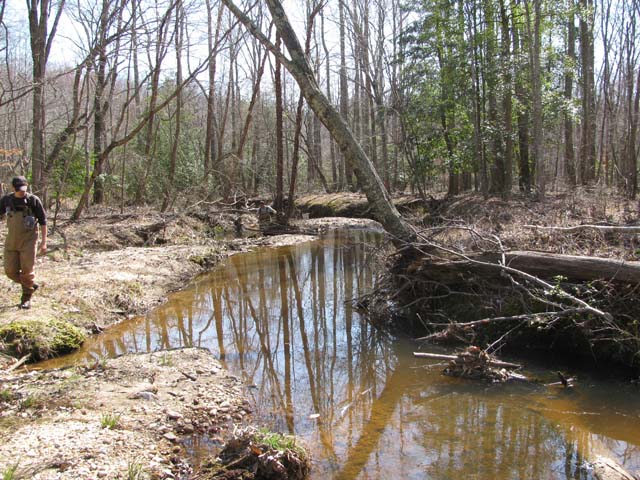 Field photo showing stream conditions at site NANJ-201-H-2012-2