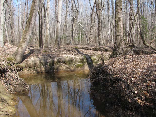 Field photo showing stream conditions at site NANJ-202-H-2012-1