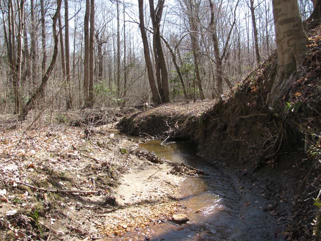 Field photo showing stream conditions at site NANJ-202-H-2012-2