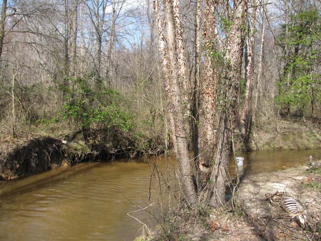 Field photo showing stream conditions at site NANJ-203-H-2012-1