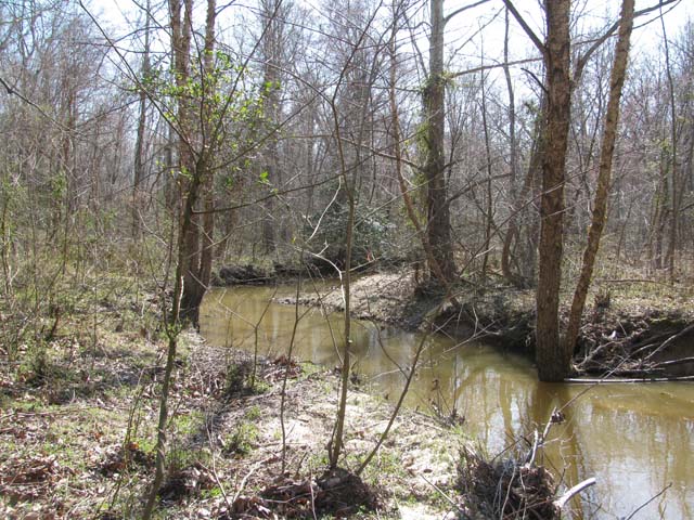 Field photo showing stream conditions at site NANJ-203-H-2012-2