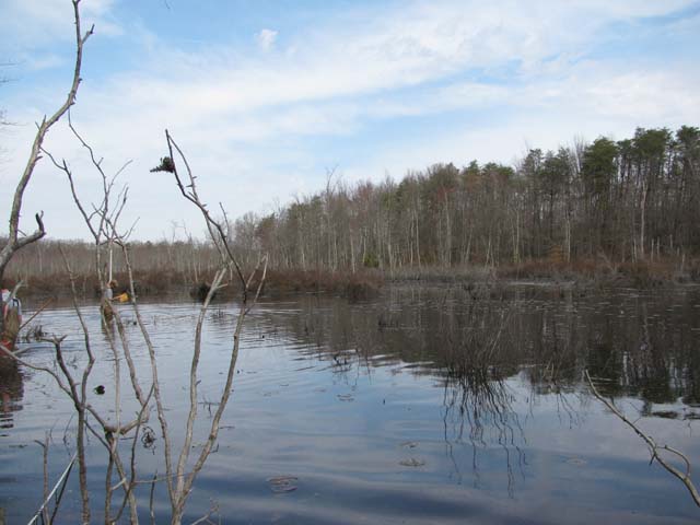 Field photo showing stream conditions at site NANJ-205-H-2012-1