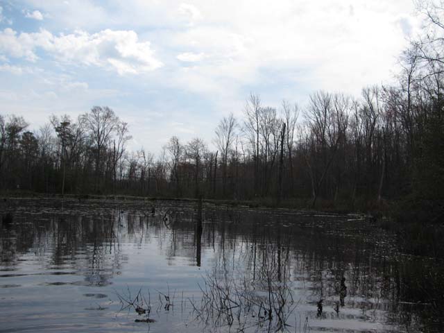 Field photo showing stream conditions at site NANJ-205-H-2012-2
