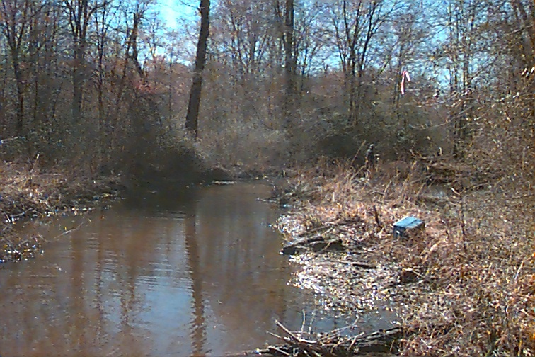 Field photo showing stream conditions at site NANJ-205-R-2000-01