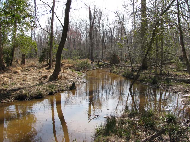 Field photo showing stream conditions at site NANJ-206-H-2012-2
