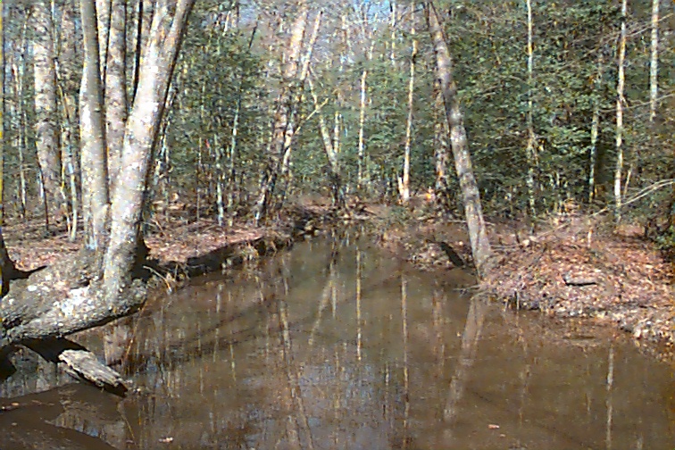 Field photo showing stream conditions at site NANJ-206-R-2000-01