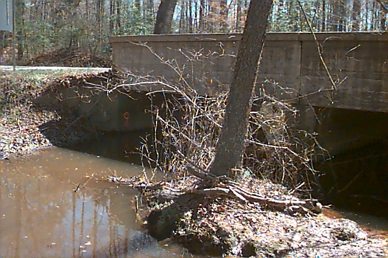 Field photo showing stream conditions at site NANJ-206-R-2000-02