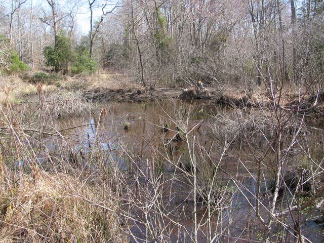 Field photo showing stream conditions at site NANJ-208-H-2012-2