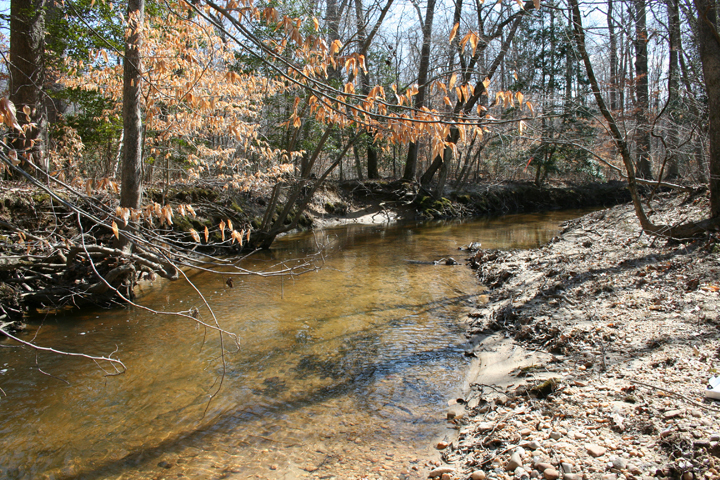 Field photo showing stream conditions at site NANJ-301-A-2008-2