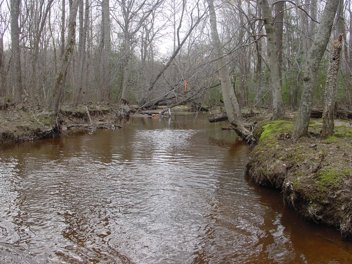 Field photo showing stream conditions at site NANJ-301-H-2007-1