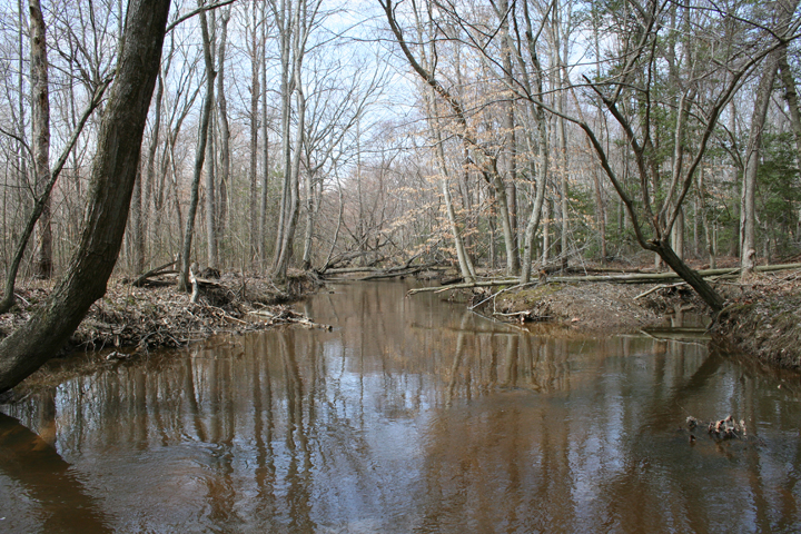 Field photo showing stream conditions at site NANJ-301-H-2008-1