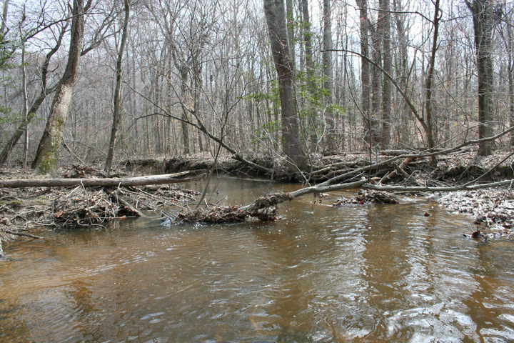 Field photo showing stream conditions at site NANJ-301-H-2008-2