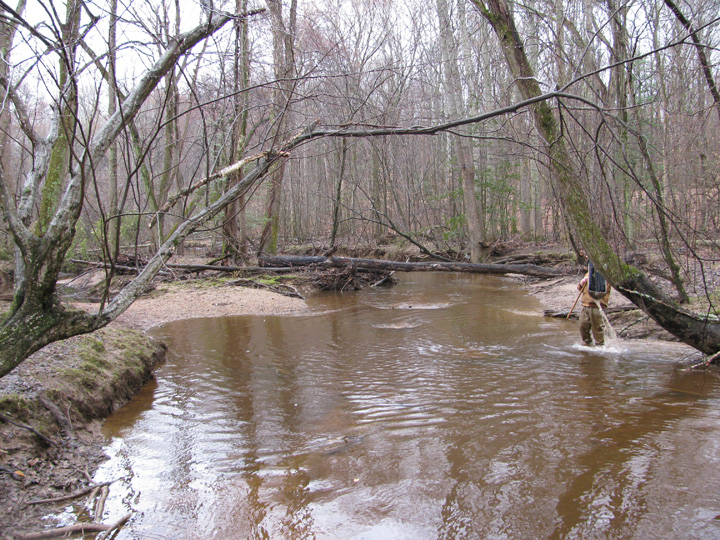 Field photo showing stream conditions at site NANJ-301-H-2010-1