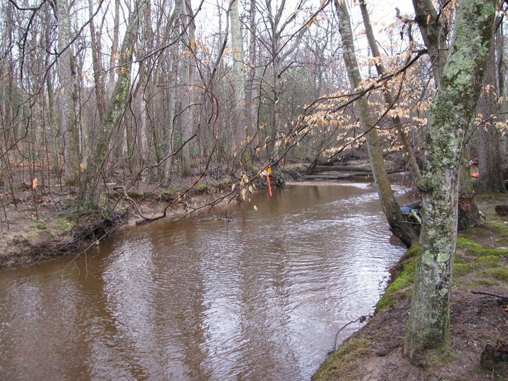 Field photo showing stream conditions at site NANJ-301-H-2010-2