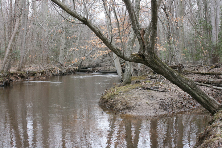Field photo showing stream conditions at site NANJ-301-H-2011-1