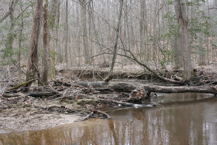 Field photo showing stream conditions at site NANJ-301-H-2011-2