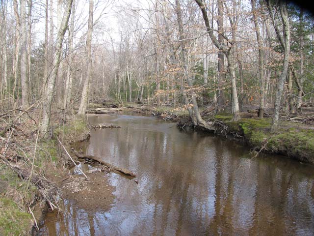 Field photo showing stream conditions at site NANJ-301-H-2012-1