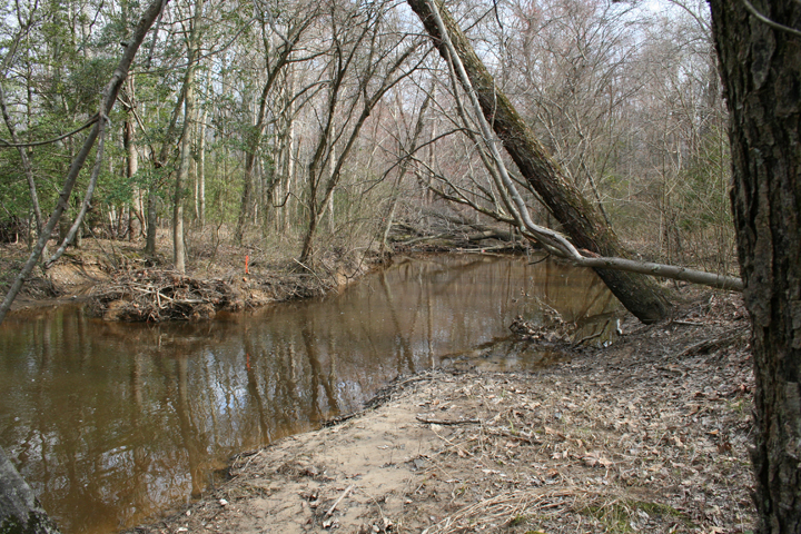 Field photo showing stream conditions at site NANJ-301-R-2008-1