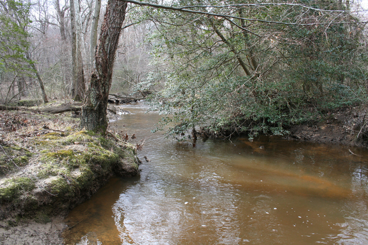 Field photo showing stream conditions at site NANJ-301-R-2008-2