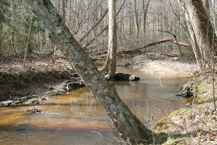 Field photo showing stream conditions at site NANJ-304-R-2008-1