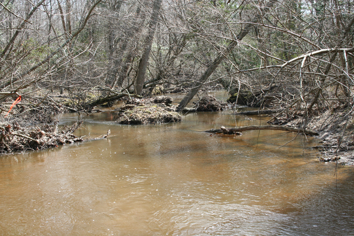 Field photo showing stream conditions at site NANJ-304-R-2008-2