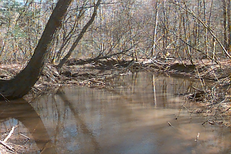 Field photo showing stream conditions at site NANJ-308-R-2000-01