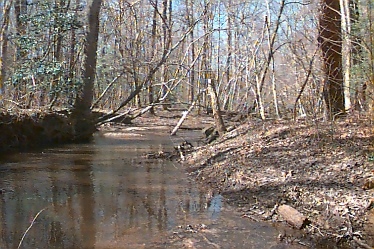 Field photo showing stream conditions at site NANJ-308-R-2000-02