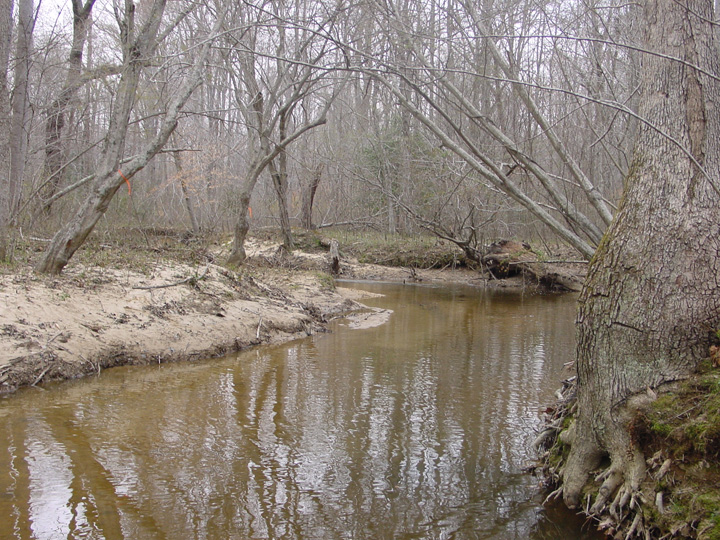 Field photo showing stream conditions at site NANJ-321-A-2007-1