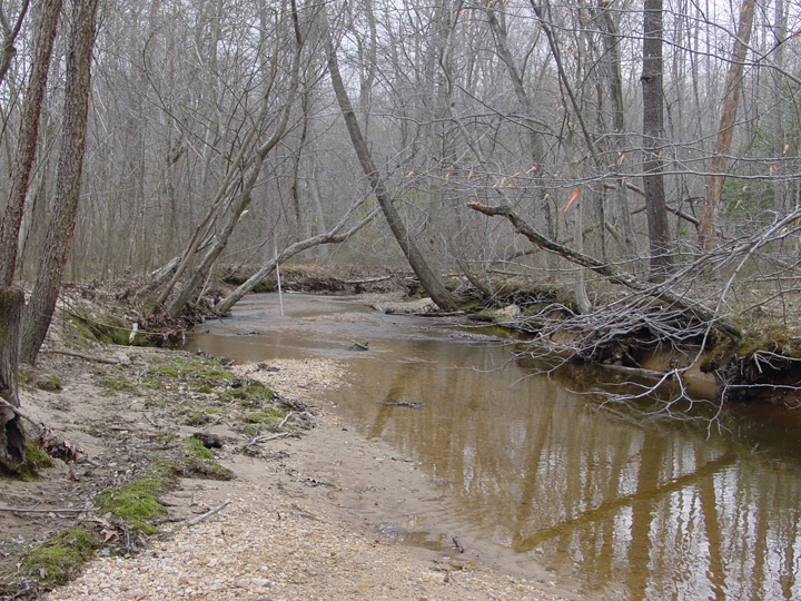 Field photo showing stream conditions at site NANJ-321-A-2007-2