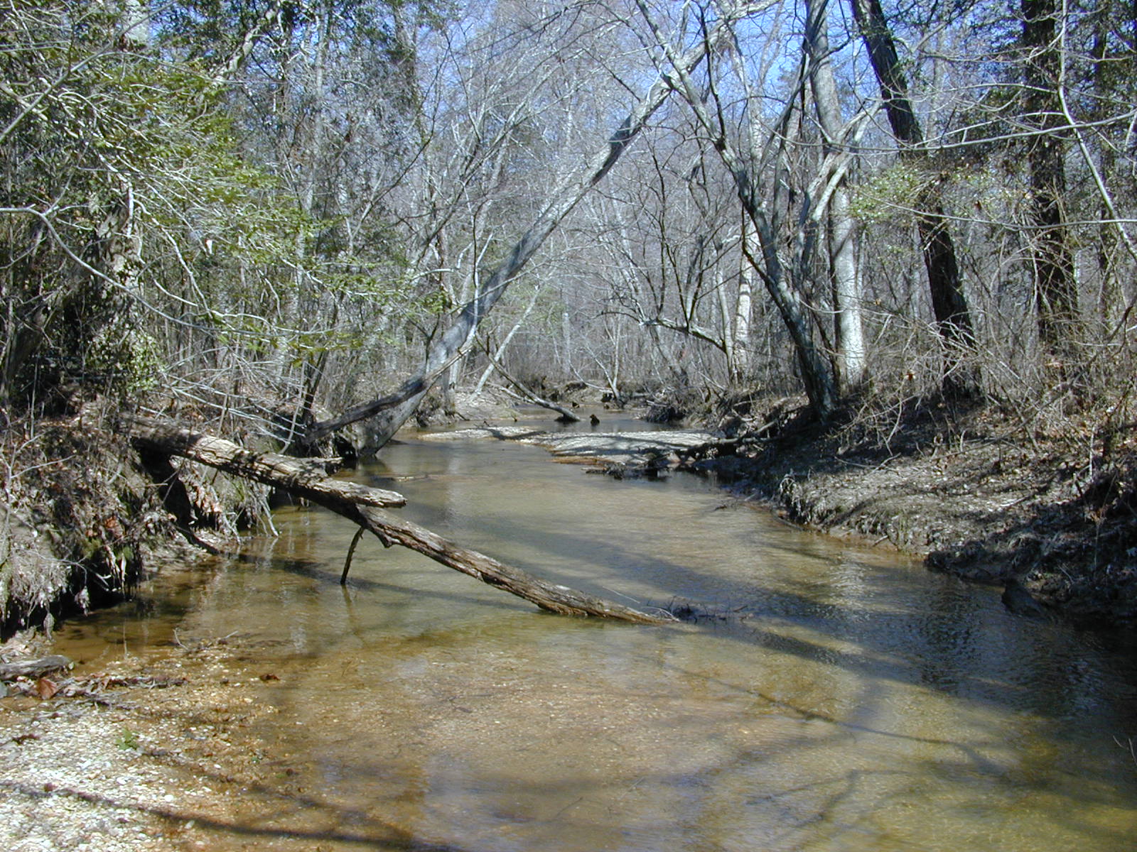 Field photo showing stream conditions at site NANJ-331-S-2001-78